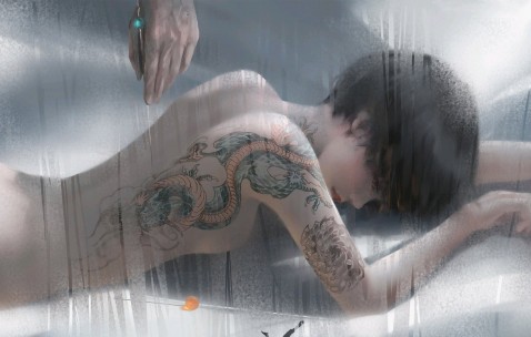 探索卵巢多囊样改变的形成机制