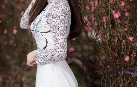 产前胎儿亲子鉴定，科学、伦理与法律的交汇点